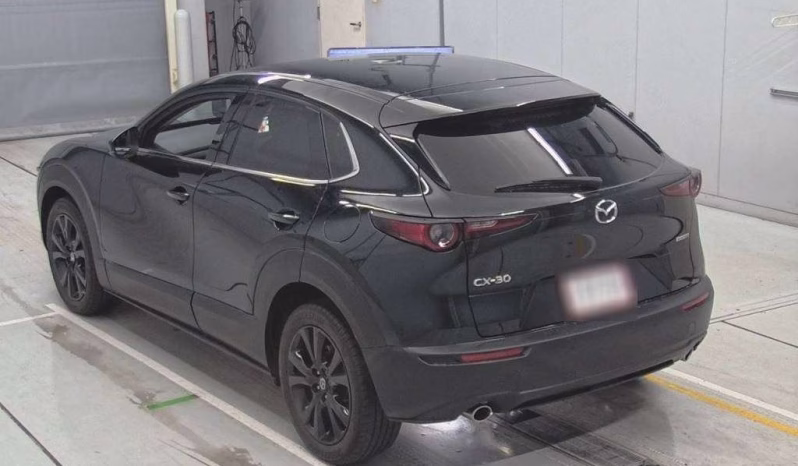 
								MAZDA CX-30 (Black Edition) full									