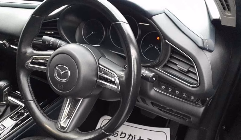 
								MAZDA CX-30 (BOSE Sound System) full									