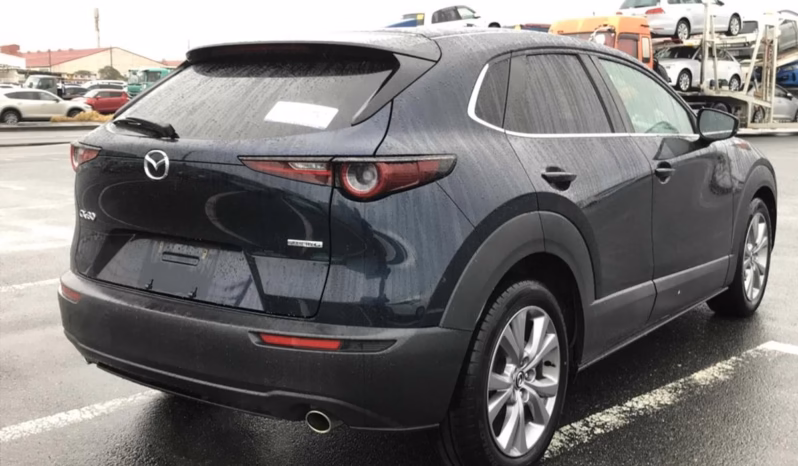
								MAZDA CX-30 full									