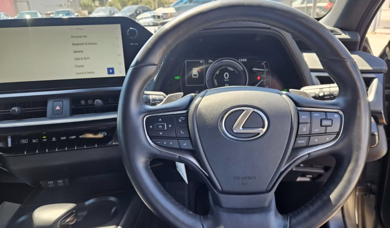 
								LEXUS UX250h full									