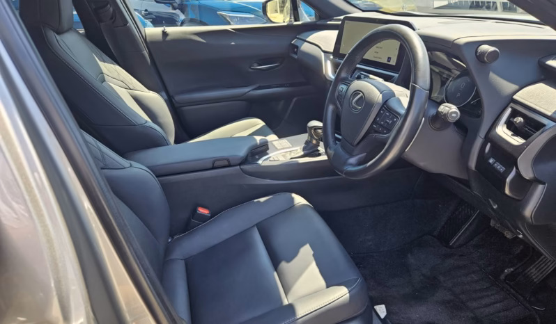 
								LEXUS UX250h full									