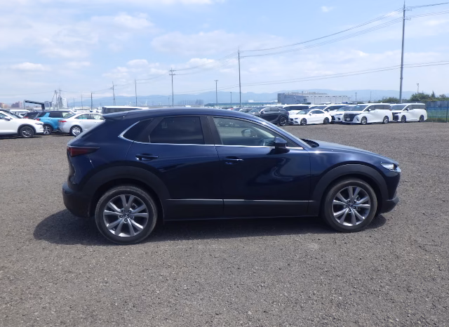 
								MAZDA CX-30 full									