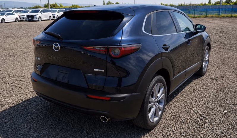 
								MAZDA CX-30 full									