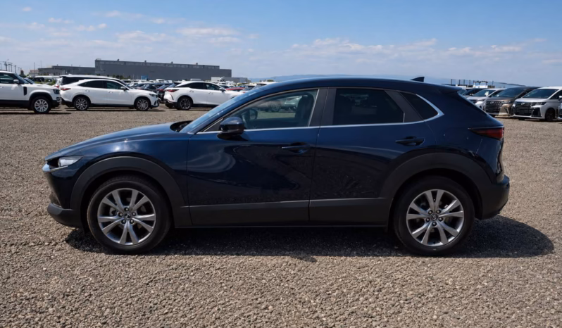 
								MAZDA CX-30 full									