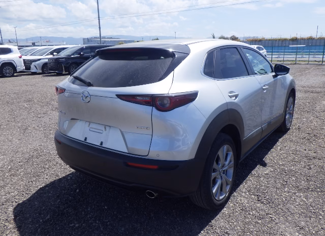 
								MAZDA CX-30 full									