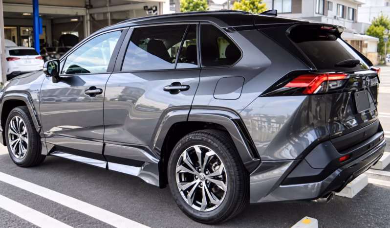 
								TOYOTA RAV4 Hybrid full									