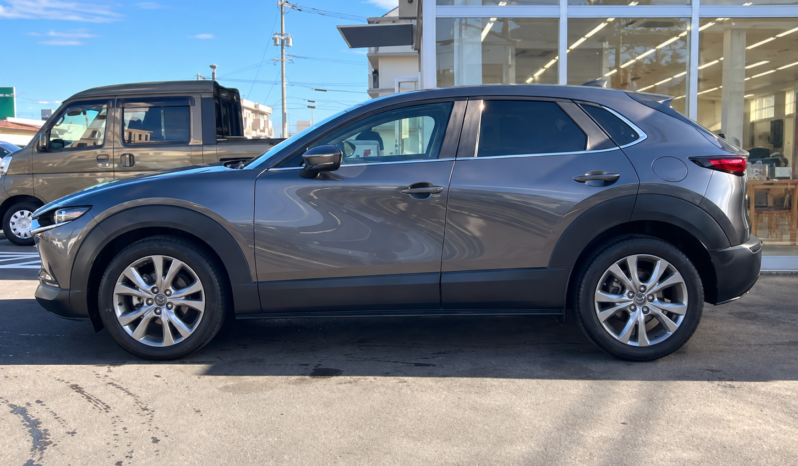 
								MAZDA CX-30 full									