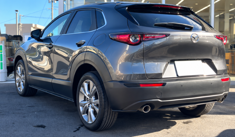 
								MAZDA CX-30 full									