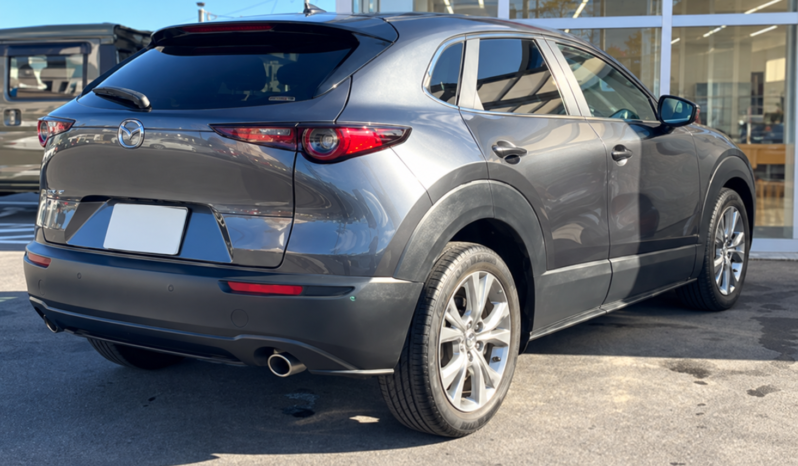 
								MAZDA CX-30 full									